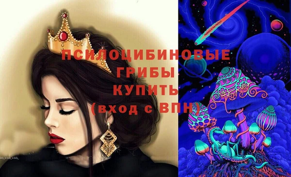 спайс Арсеньев