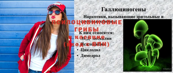соль ск Аркадак