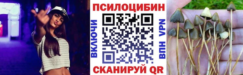 купить  сайты  KRAKEN   Галлюциногенные грибы ЛСД  Строитель 