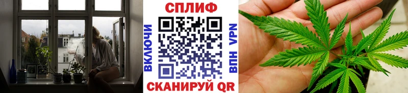 Канабис гибрид  купить наркотик  Строитель 